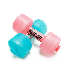 Load image into Gallery viewer, 1KG Dumbells Fitness Equipment